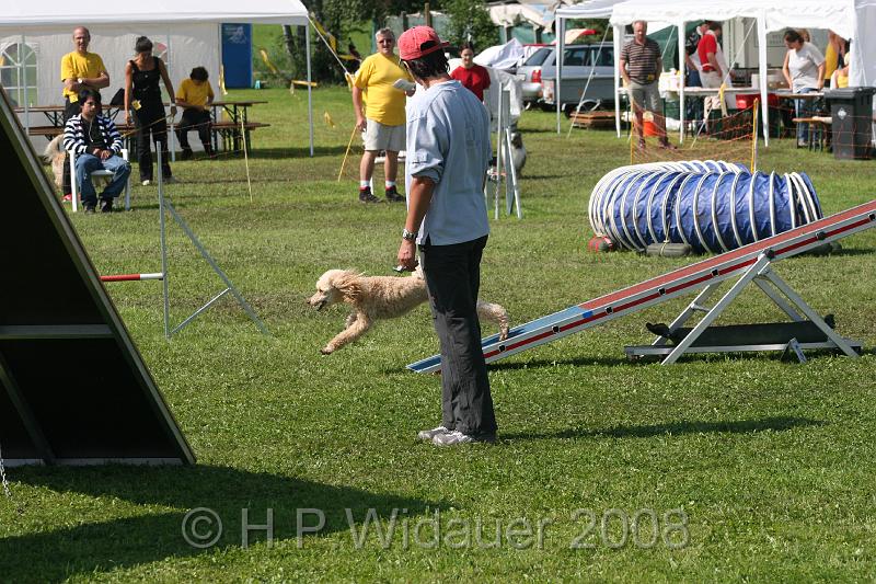 jubil.lusten. 217.jpg